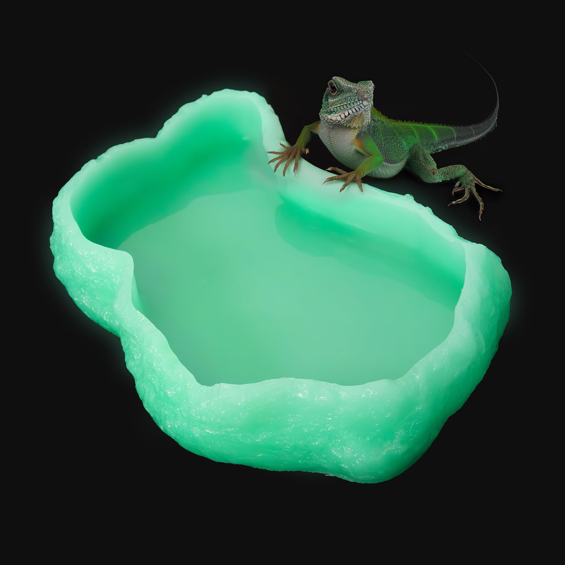 AZV XLarge Reptile Food Water Rock Bowls,Luminous Amphibian Feeding Dish,Resin Rock Worm Feeder Terrarium for Lizards,Chameleon,Leopard Gecko,Frog,