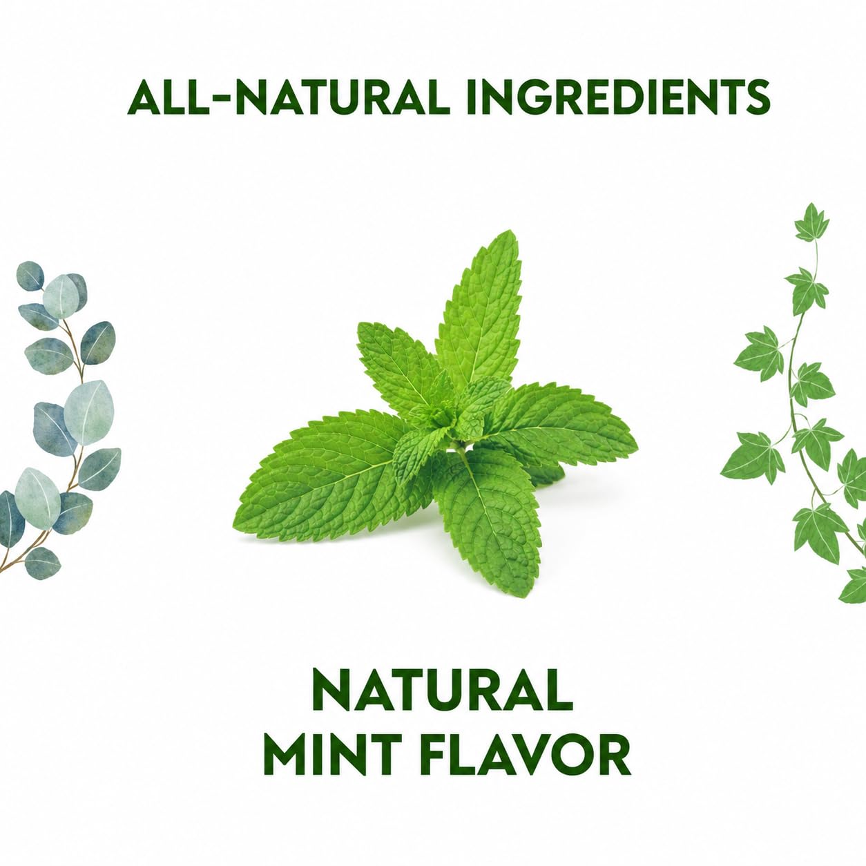HERBION Naturals Mint Cough Drops with Vitamin C and Herbal Blend, Natural Mint Flavor, Individually Wrapped, 25 Drops — Amazon image 5