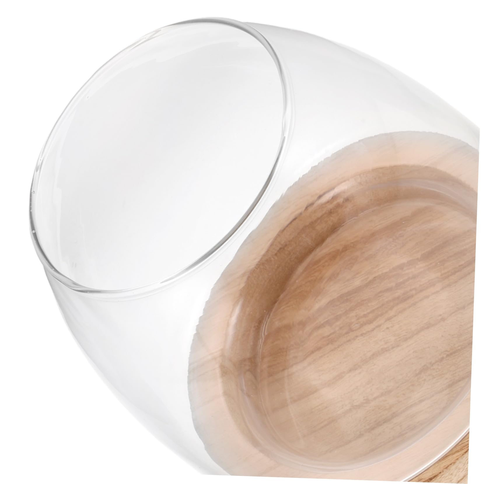 Amosfun Vase hydroponique Petit Vase de Terrarium récipients en Verre hydroponiques décor de de Plantes Station d'enracinement en Transparent