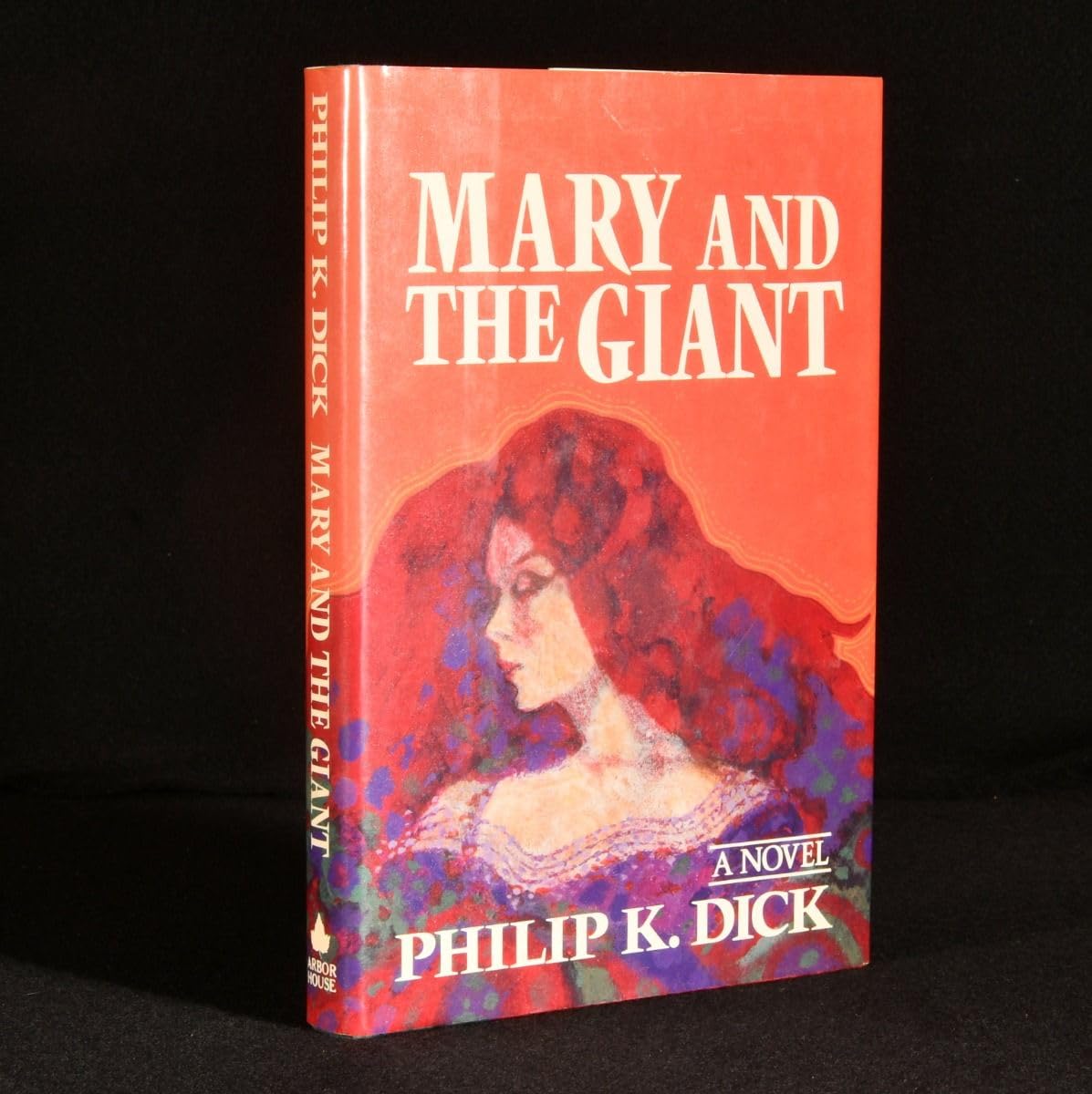Buy Mary and the Giant — BookShops.in