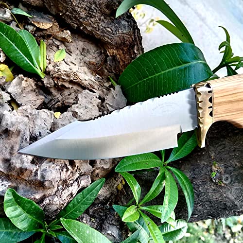 Handmade 420C Stainless Steel 10 Inch Olive Wooden Handel Fixed Blade Hunting Bowie Knife Best For Outdoor & Indoor Camping Hunting Fixed Blade Knife #TOP3