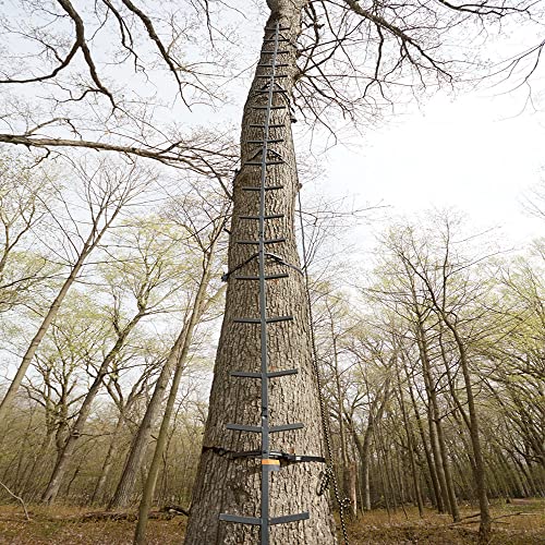 20 Best Ladder Tree Stands Of 2022(Reviews & Comparison) BDR