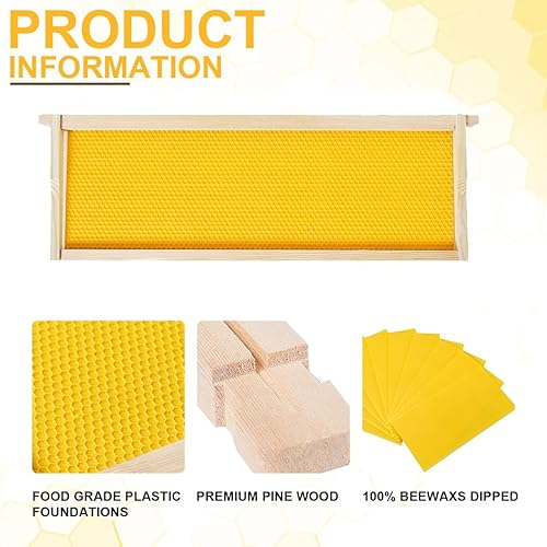 Miniatura 5 de POLLIBEE Caja mediana de 8 marcos sumergida en 100 cera de abejas con marcos y bases sin montar