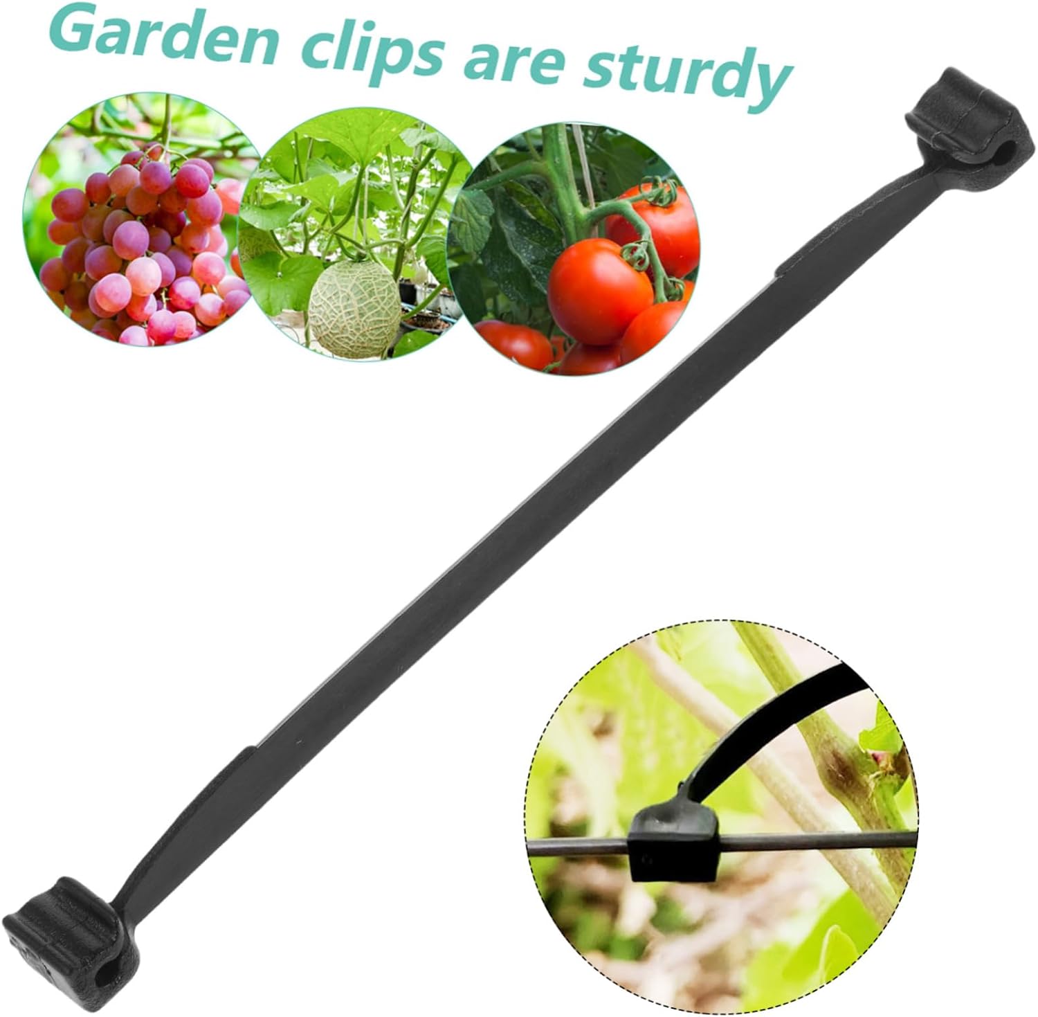 balacoo 1bag Garden Vines Clip Fruits Tree Fixing Clamp Plant Clamp Vine Clip Accessory Plant Cutting Support