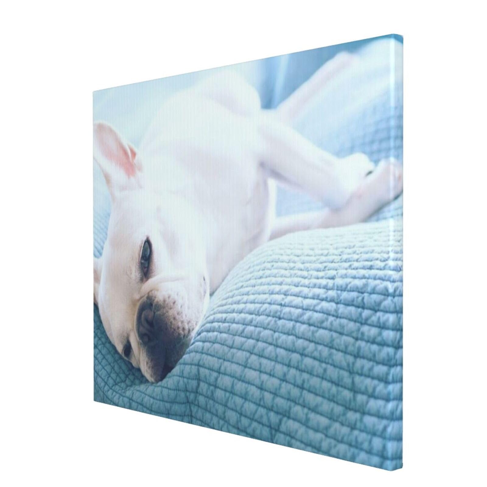 Amazon.co.jp: フレンチブルドッグ 犬柄 ポスター アートパネル アート