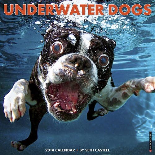 Underwater Dogs - 2014 16-Month Calendar