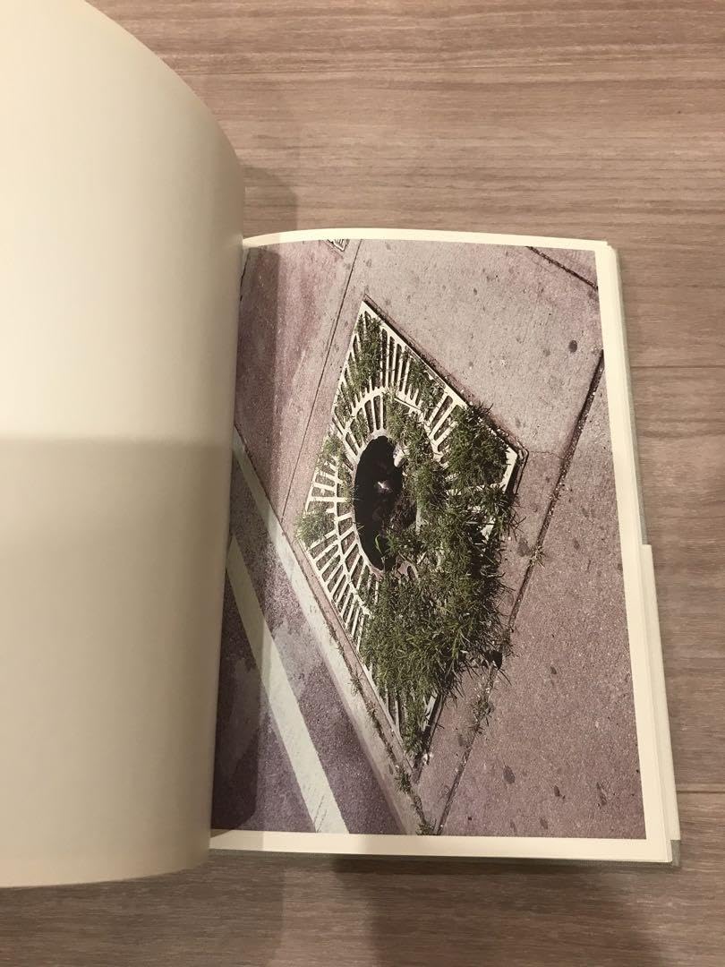 Mark Borthwick: Furnitured Ways 【公式通販】