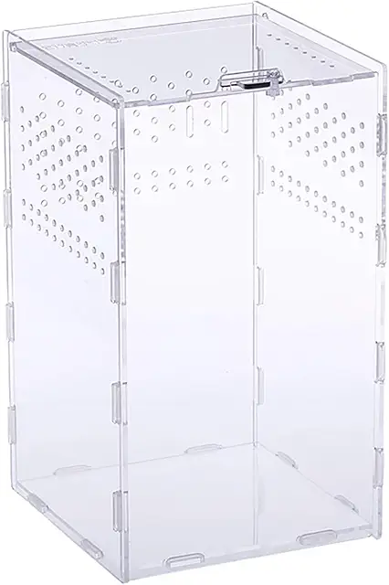 Terrario per Insetti Acrilico Trasparente - Scatola Allevamento Rettili 25x15x15 cm