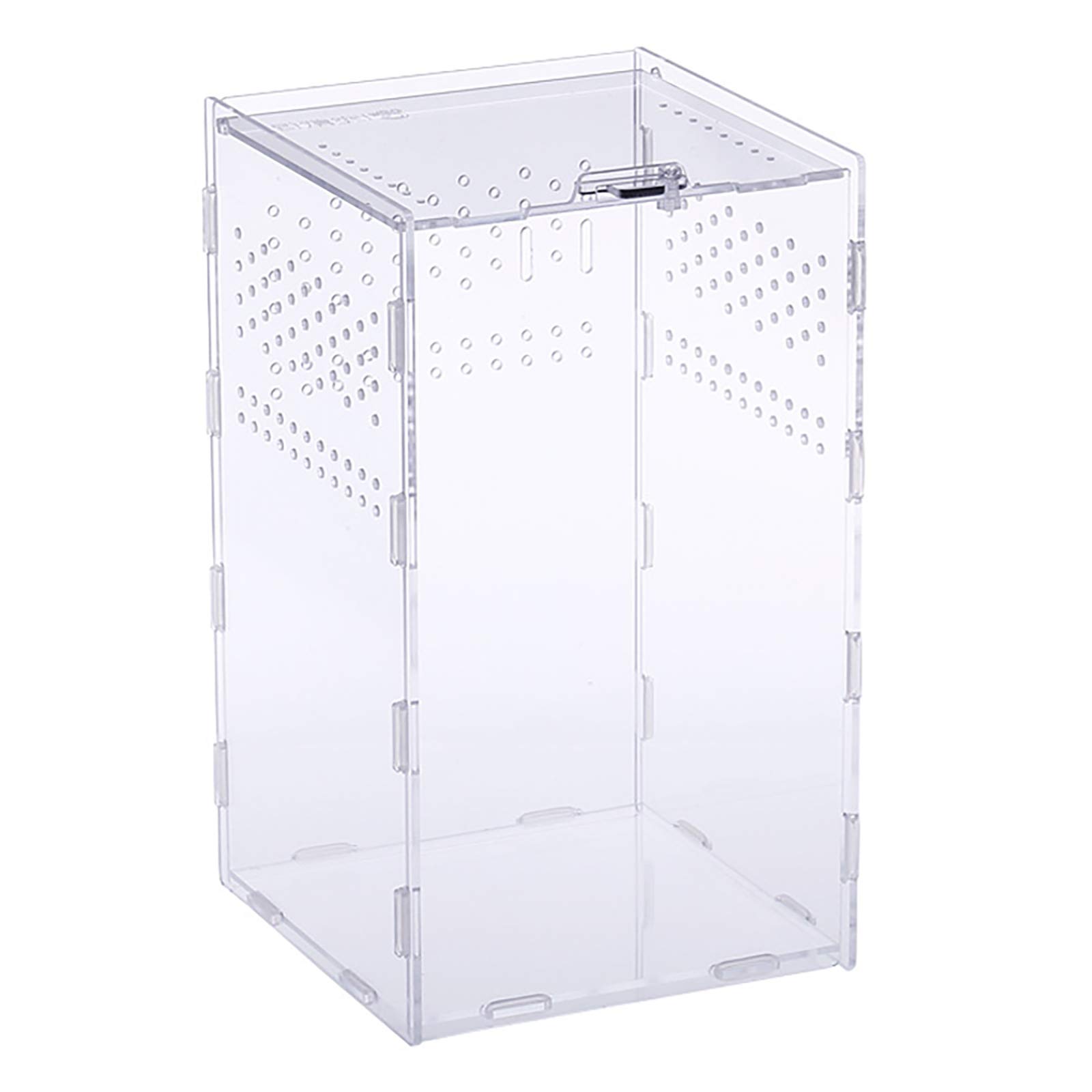 Acrylic Jumping Spider & Stick Insect Enclosure, Escape-Proof Terrarium