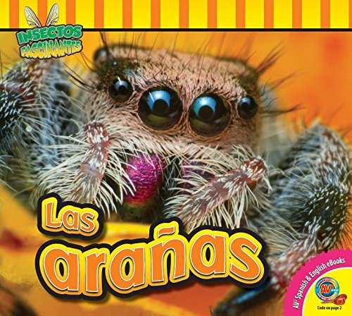 Las arañas / Spiders (Insectos Fascinantes: AV2-Spanish & English ...