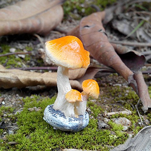 3 Pack Fairy Garden Miniatures Decoration Orange Mushroom Resin Diy Garden Ornament Micro Landscape Mini Dollhouse #TOP4