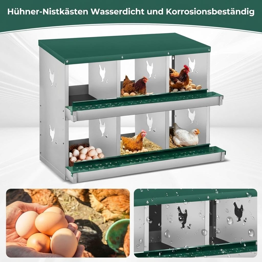 Hühner Legenest 6 Fächer Metall, Abrollnest mit Eierablage, Grün, Stabil | Leicht zu reinigen, Wandhalterung, Montageleicht, Hühnerstall, Geflügel, Hygiene, Robust, Zeitsparend, Nestbox