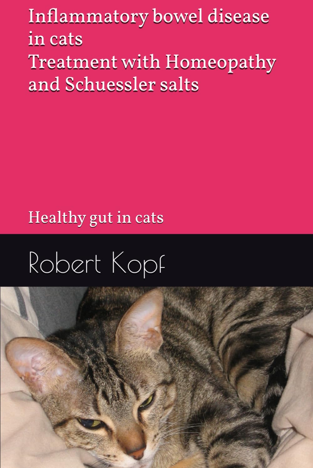 Inflammatory bowel disease in cats - Treatment with Homeopathy and Schuessler salts: Healthy gut in cats