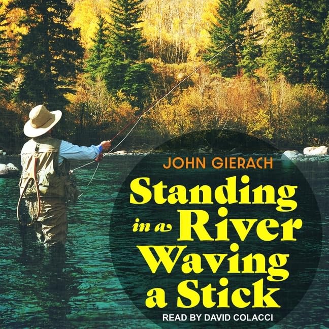 Standing in a River Waving a Stick Lib/E