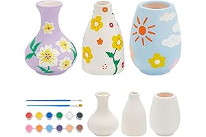 WEBEEDY Pottery Painting Kit for Beginners