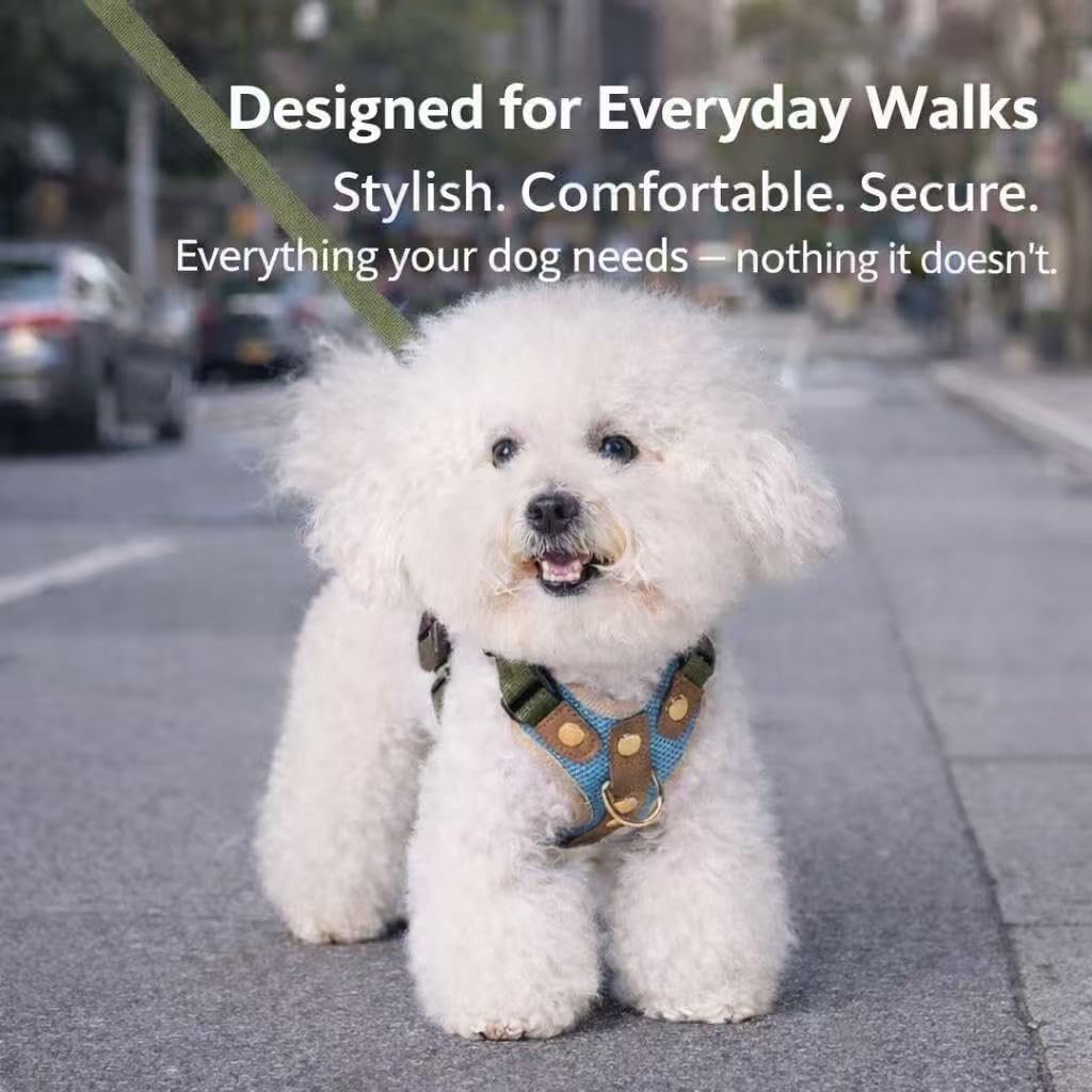No Pull Dog Harness with Leash Set, Adjustable Padded Chest Vest with Front Clip, Escape-Resistant & Reflective, for Small Dogs (Sizes S–XL) Teal and Olive, M