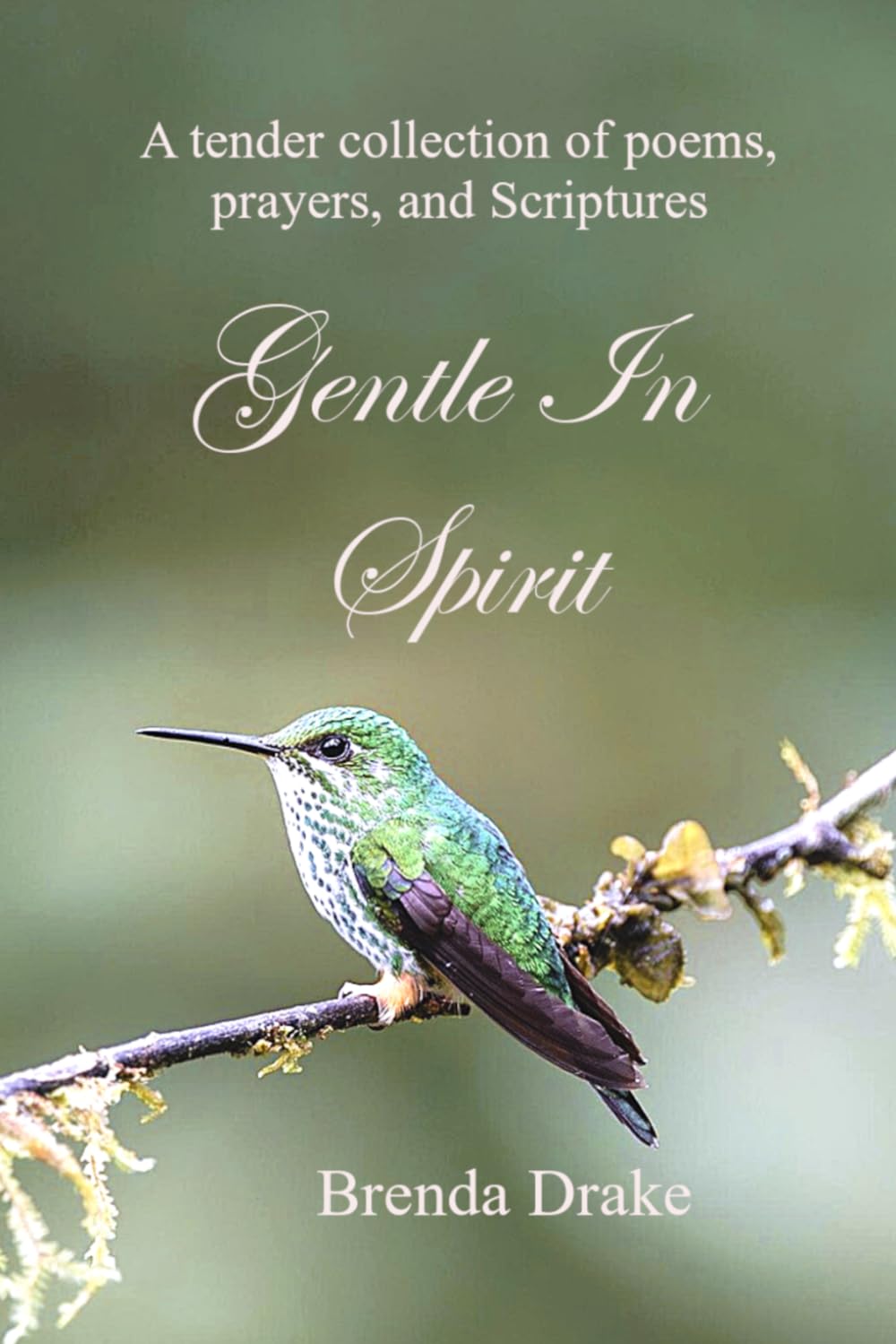 Gentle in Spirit: A tender collection of poems, prayers, and Scriptures