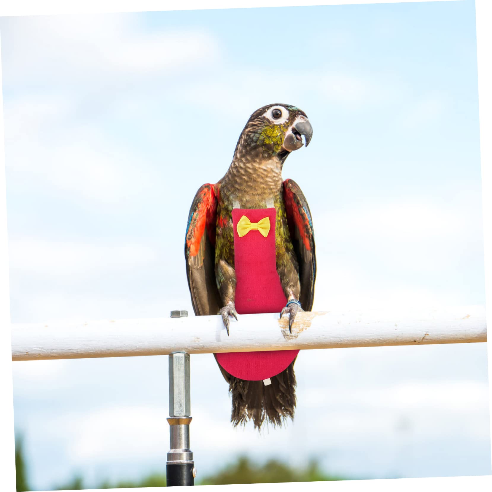 minkissy 2 stücke Fliegende Vogel Windeln Haustier Vogel Windeln Taube papagei Kleidung Flug Anzug für vögel nymphensittich papagei Kleidung