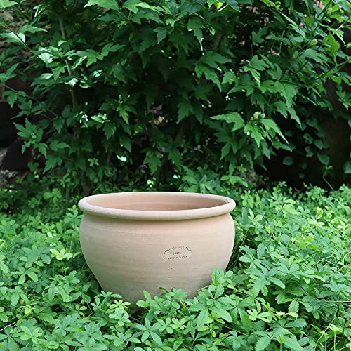 Palatina Werkstatt, Terracotta Pflanzkübel frostfester Blumentopf in...