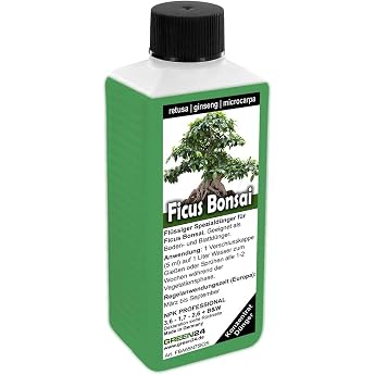 Ficus Ginseng Retusa Microcarpa Bonsai Fertilizer Chinese Fig Liquid Fertilizing