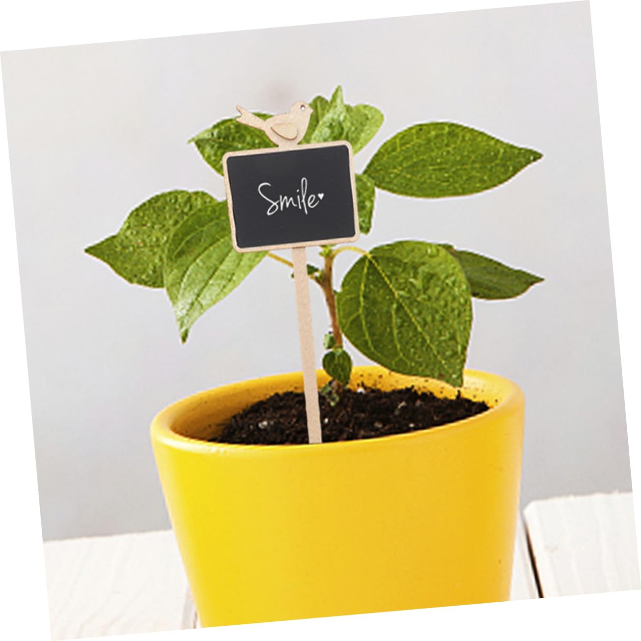 BESPORTBLE 40pièces Étiquettes De Jardin Bois De Marqueurs Pour Plantes Étiquettes Ardoise Pour Identification Des Fleurs Décoration De Balcon