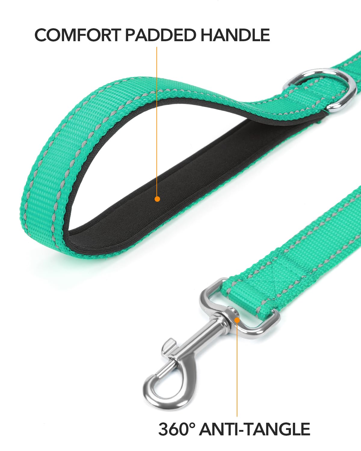 Taglory Guinzaglio per Cani Riflettente con Manico Imbottito e Gancio in Metallo, Nylon Resistente Addestramento Cane Guinzaglio, 1.8 m x 2.0 cm, Turchese