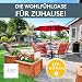 LILENO HOME Gartenstuhl Auflagen [2er Set - Hochlehner] in Beige - Bequeme Liegen als Sitzauflagen für Gartenmöbel - Stuhlkissen für Gartenstühle und Klappstühle BAR