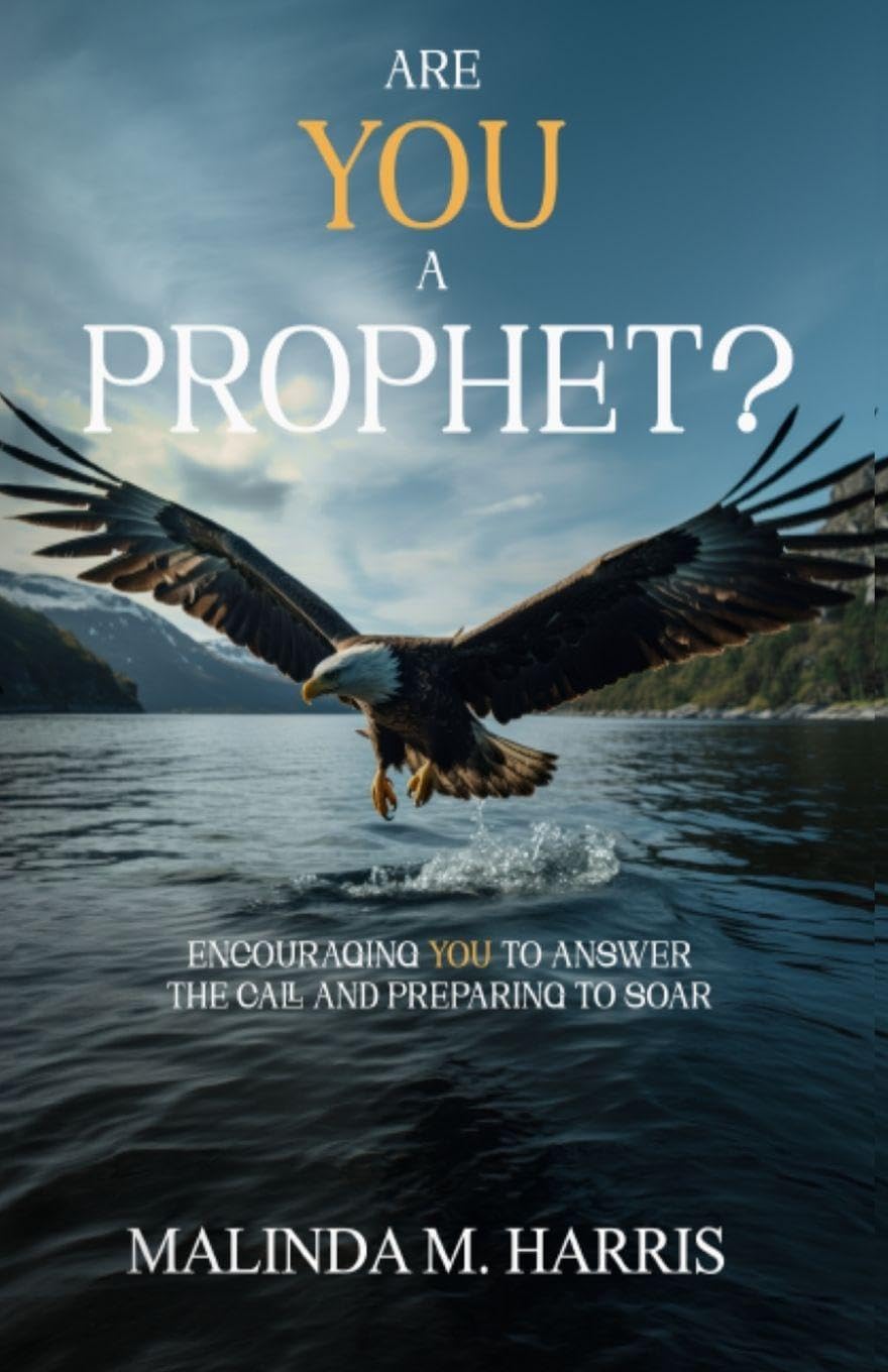 Are You A Prophet?: Encouraging You to Answer the Call and Preparing to Soar