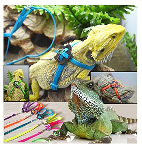 25 Best Bearded Dragon Leash And Harness In 2020 Reviews Faqs