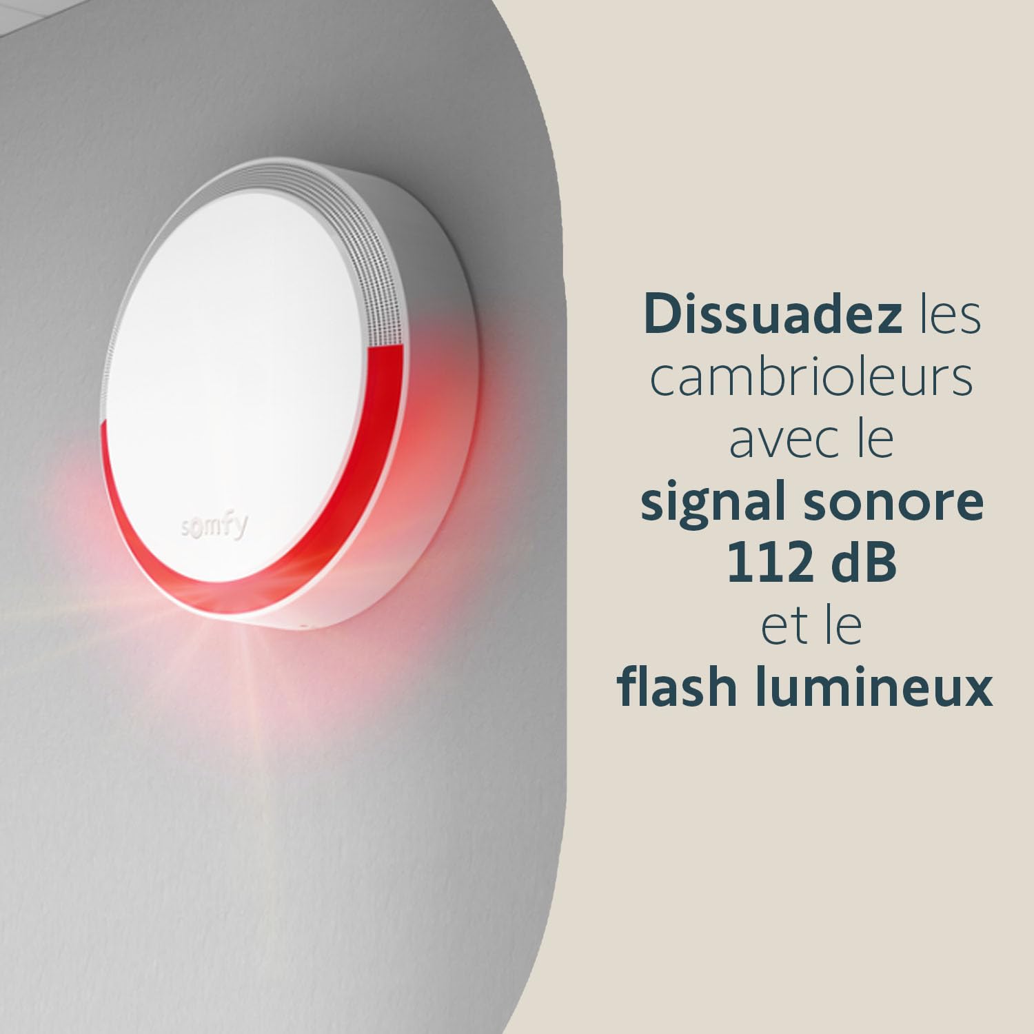 Somfy 2401491 - Sirène Extérieure Somfy Protect - Compatible gammes Home Alarm et Somfy One - 112dB & Flash Lumineux - Fabriqué en France