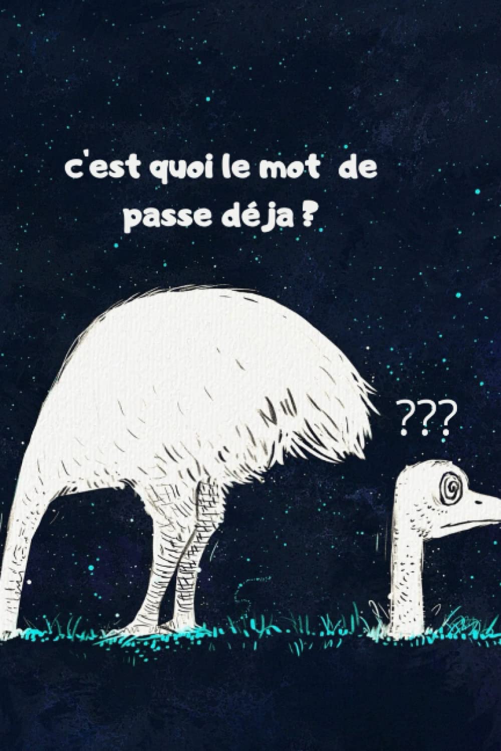 C'est quoi le mot de passe déjà ? : carnet de mots de passe: Retrouvez plus facilement vos mots de passe!