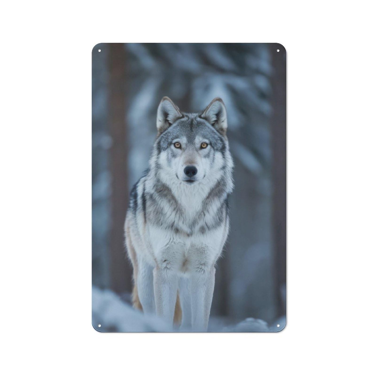 Junmoney Wolf In Winter Forest Rustic Tin Wall Plaque 30X20cm For Home Office Or Studio, For Garage, Workshop And Man Cave Decoration