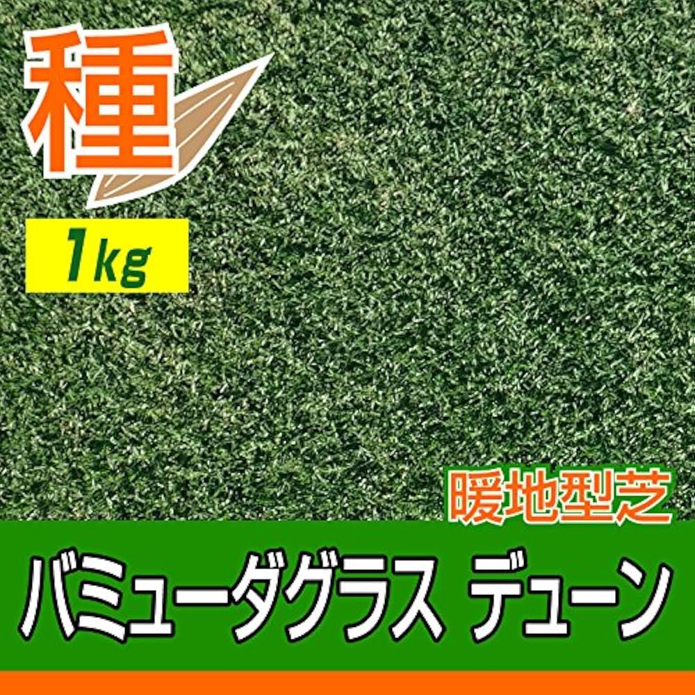 バミューダグラス デューン 温暖型芝 1Kg Amazon | バミューダグラス デューン 1kg入 | 芝生