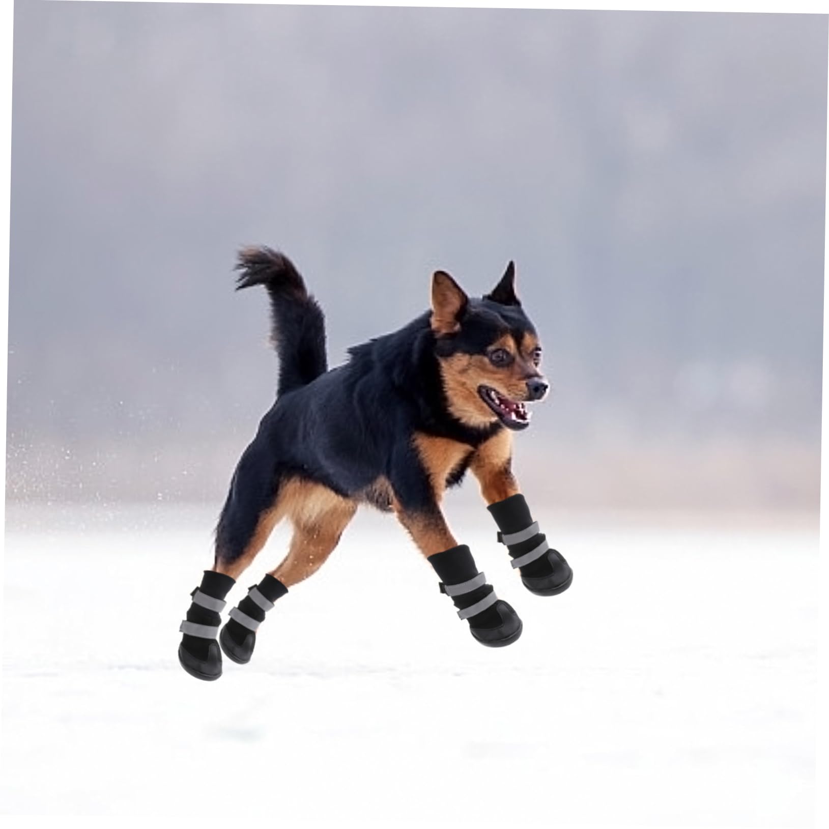 BESPORTBLE 8 Pièces Chaussures d'hiver pour pour pour Trottoir Chaud Antidérapants pour Animaux De Compagnie pour Chiens Petits Chaussures De