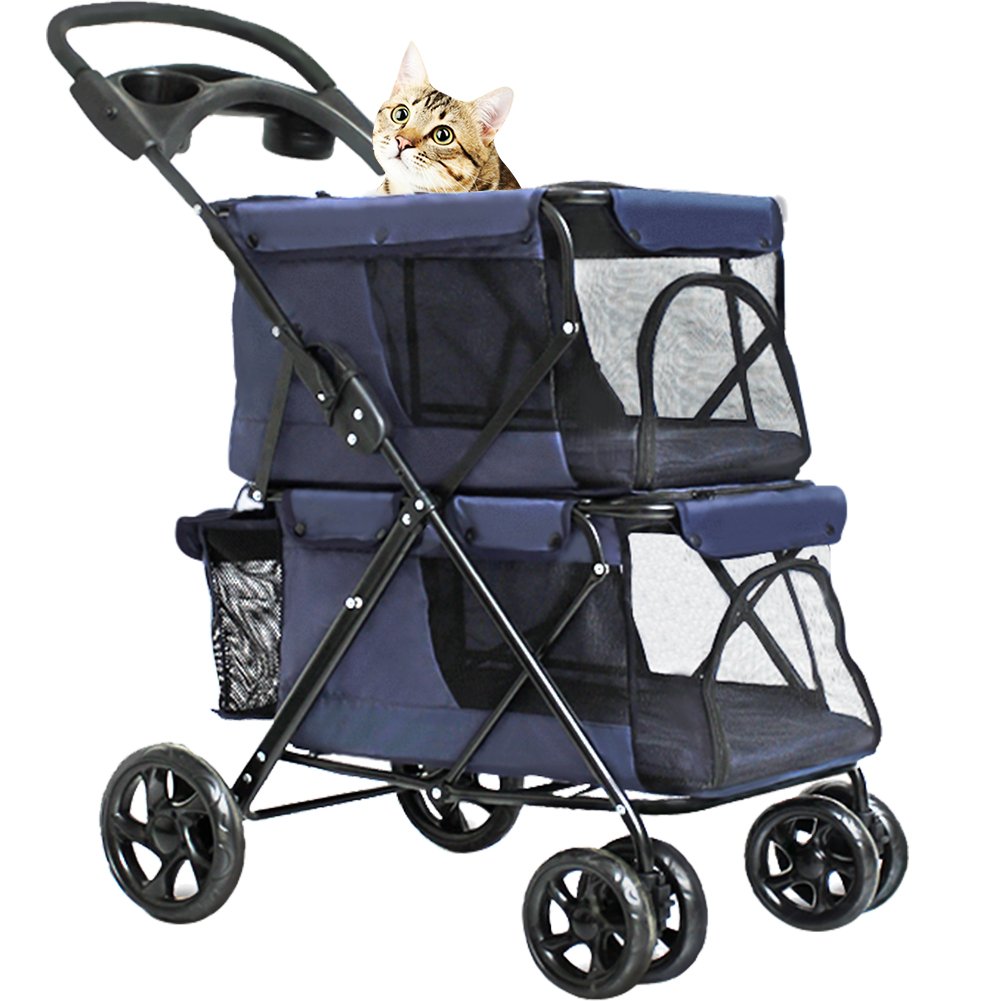 kitten stroller