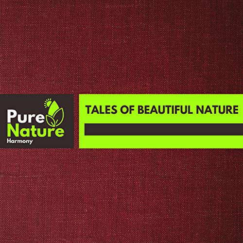 Gomzee Waves Nature Sounds Studio