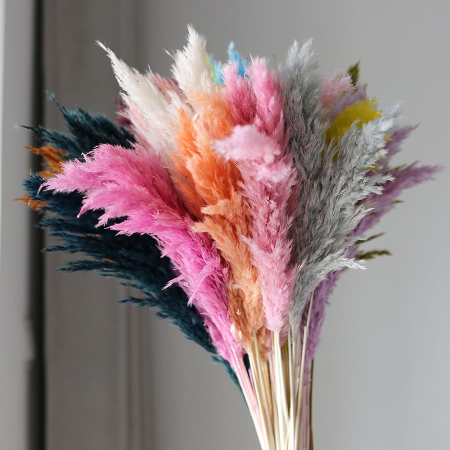 Ramo de Pasto Pampas Natural Seco 45 cm 4-5 piezas miniatura 3