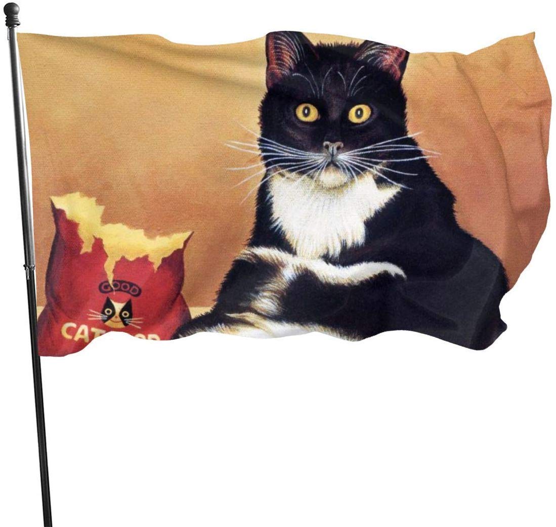 Zikely Seasonal And Holiday Yard Flag Banner Black Cat Stealing Cat Food Funny Themed Welcome Party Outdoor Outside Decorations Ornament Picks Home House Garden Yard Decor 3 X 5 Ft Small Flag