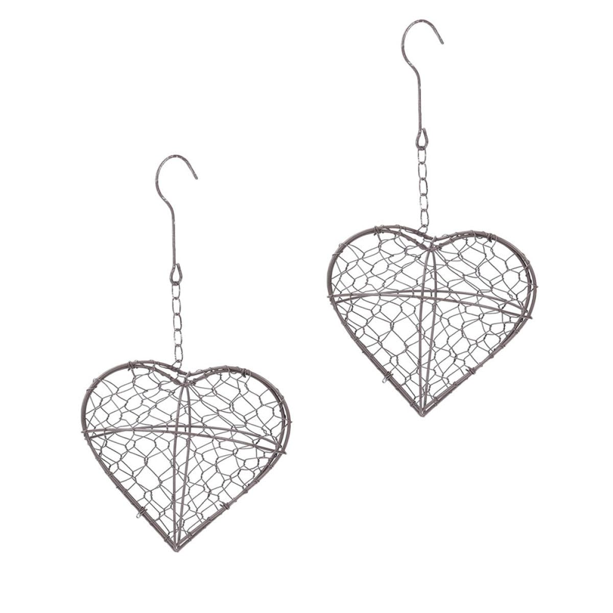 BESTonZON 2 Pezzi Fioriere Sospese a Forma di Cuore in Ferro Argento per Decorazione Interni e Giardino per Piante Verdi Fresche