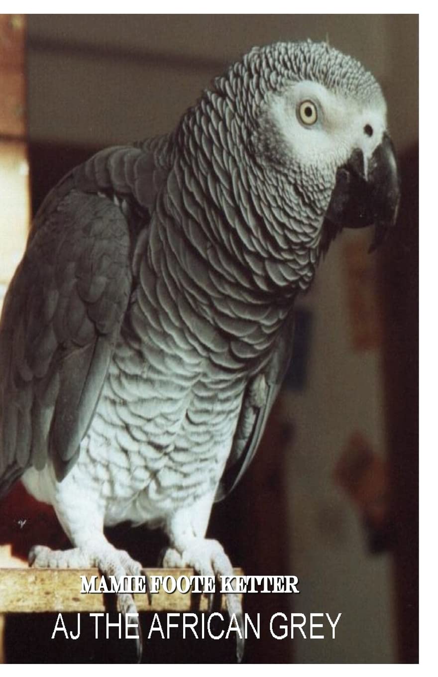 AJ The African Grey