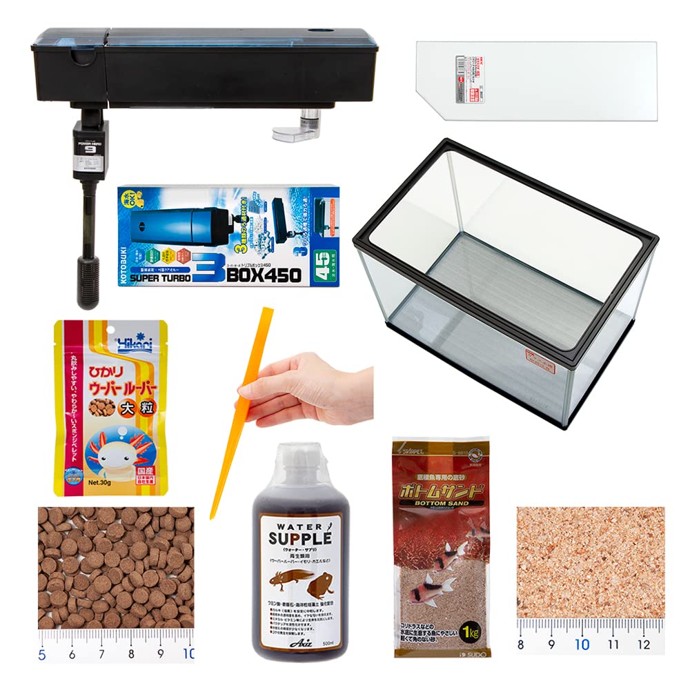 Amazon | ウーパールーパーの基本飼育セット 沖縄別途送料 | Charm