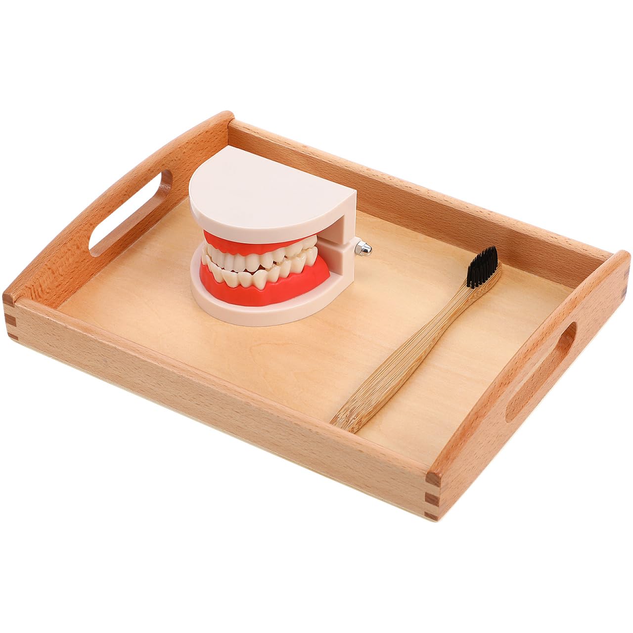 SUPVOX 1 ensemble de jeu éducatif en bois pour le brossage des dents avec lavage gargarisme outil d'apprentissage précoce pour la sensibilisation à l'hygiène brosse à dents incluse Couleur aléatoire