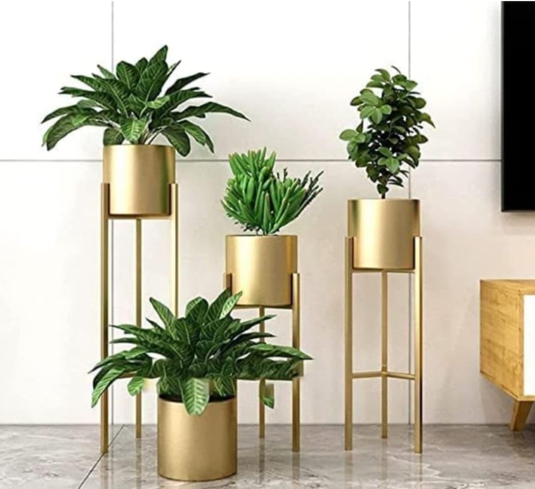 Novelty India- Modern Metal Floor Flower Stands Planter for Living Room Bedroom Display Plant Stand Tall Indoor Plant Stand with Plant Set of-3 (Golden) (B0DFVMRJ3P) Amazon Price History, Amazon Price Tracker