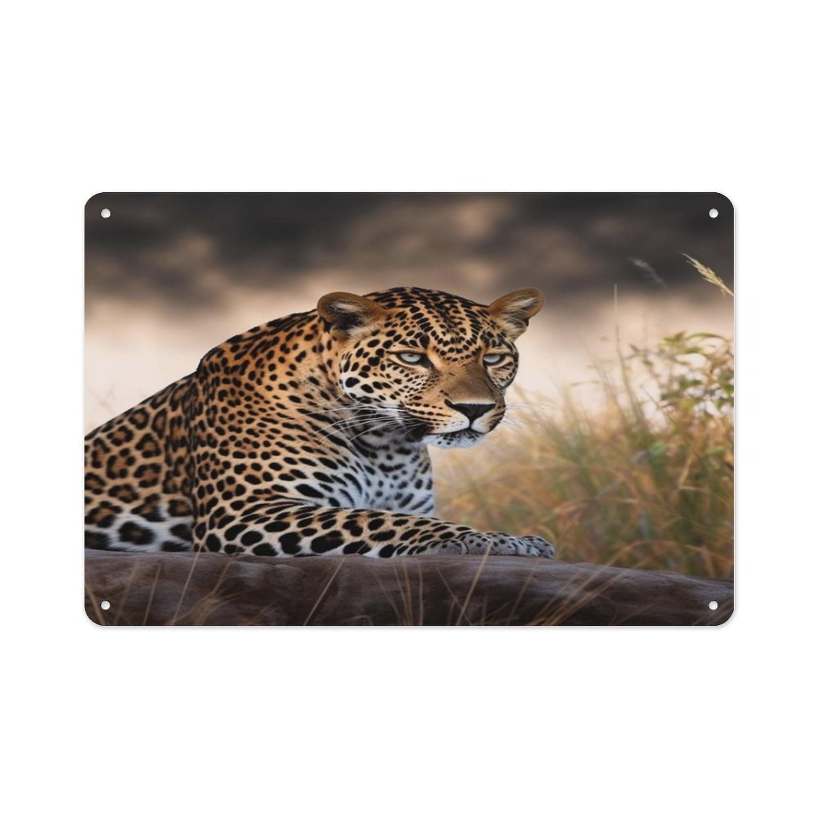 VstaDank Vintage Metal Sign Sublimation Aluminum African Animal Leopard Plaque Sign Weatherproof Art Decorative Wall Plate Boho Aluminum Wall Hanging Decor Retro Poster Plaque 8x12in