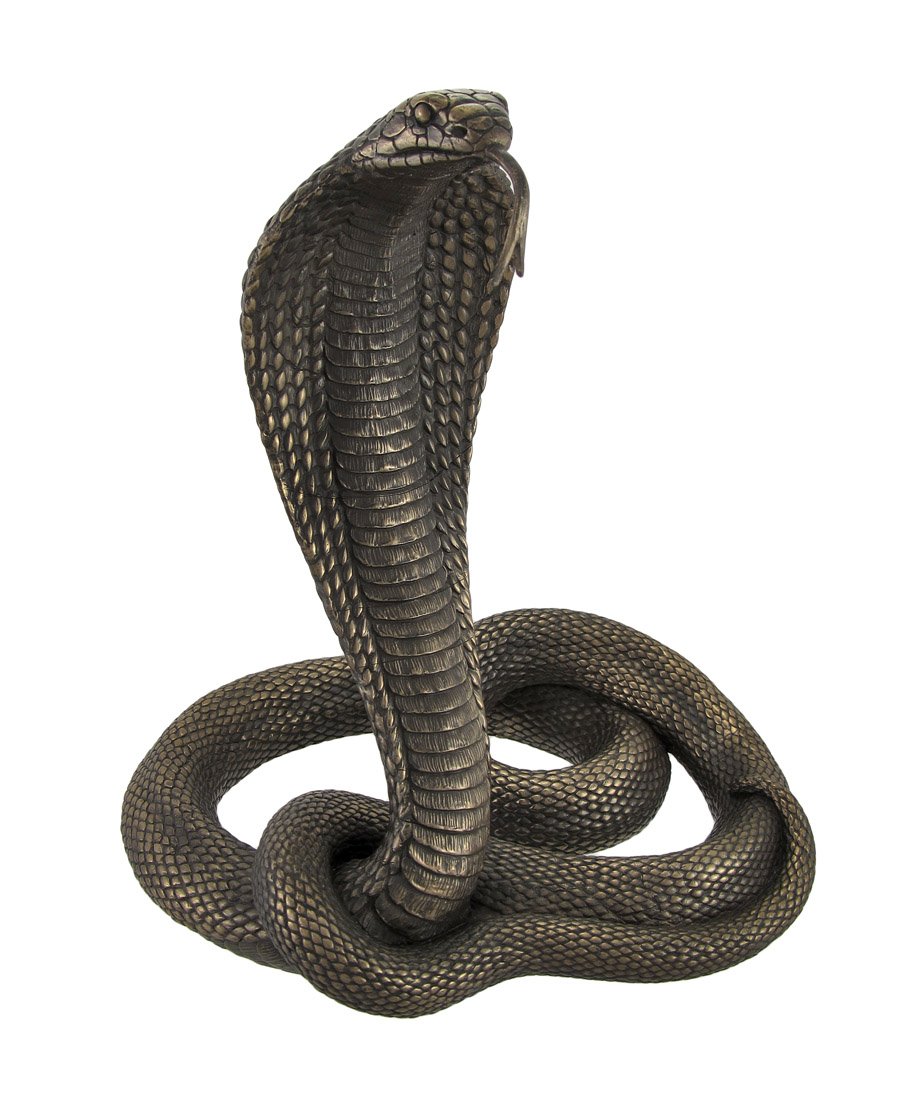 Large 12.75-Inch Tall Bronze Finished King Cobra Cast Resin Sculpture - Majestic and Detailed Statue - Hand-Painted Highlights and Realistic Coiled Design