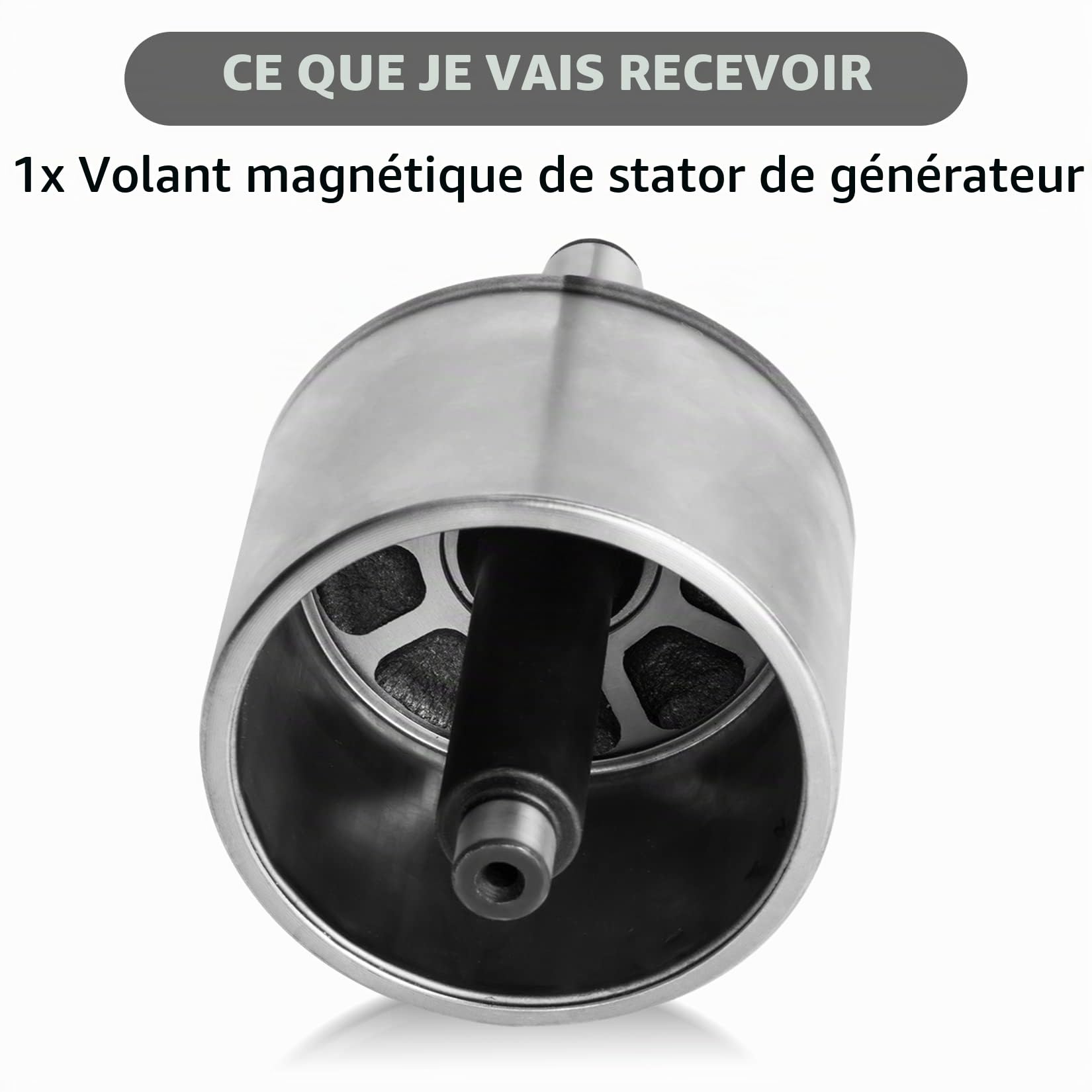 PSLER Rotor de Générateur de Volant D'inertie de Stator pour FZ8 FZ1 YZF R1, Pièces de Rechange de Volant D'inertie de Moto, 2SH-81450-00-00, 5VY-81450-00-00