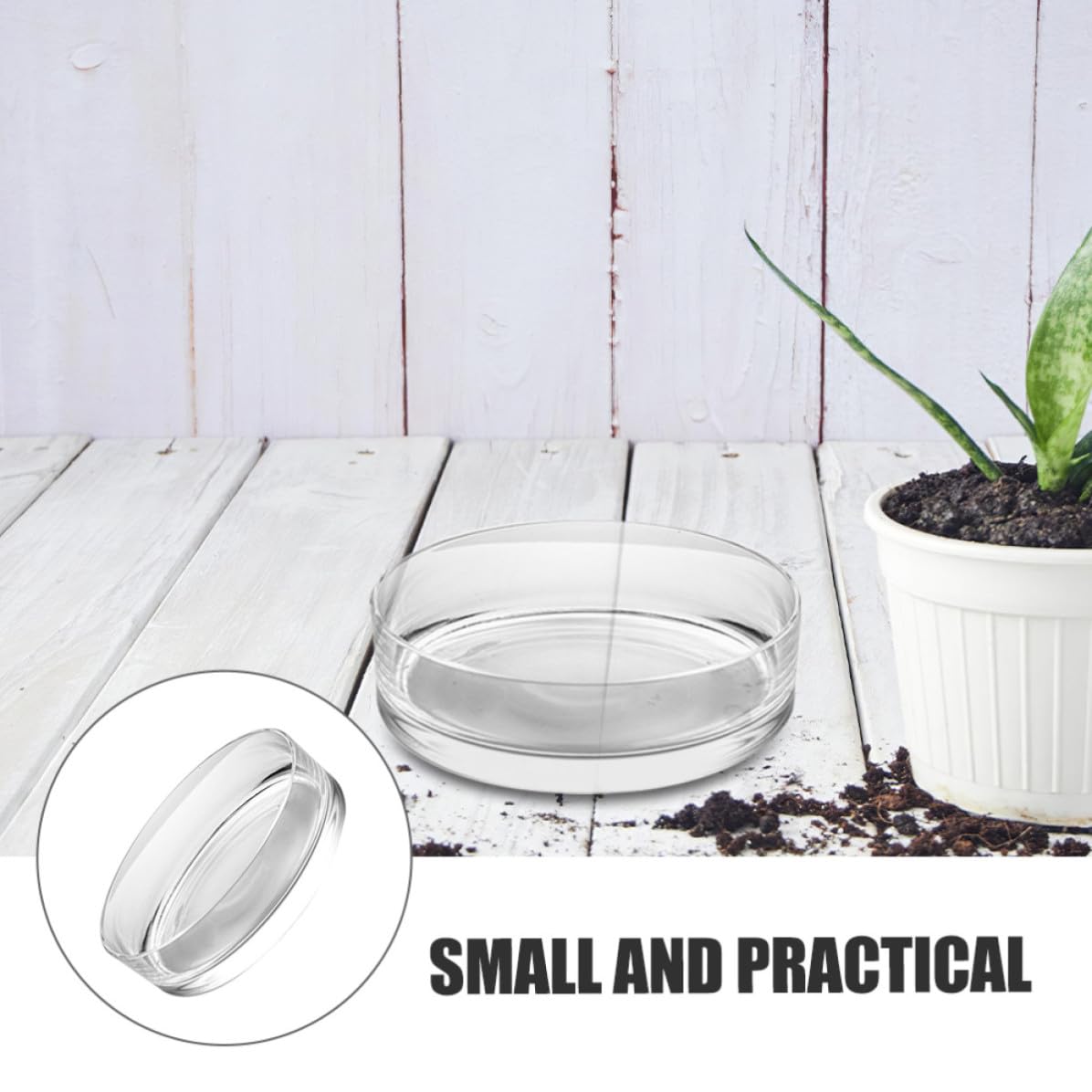 Zerodeko Vaso di Vetro Rotondo per Piante e Pesci, Decorativo e Trasparente | Uso Domestico o Negozio, Vetro Delicato, Alta Trasparenza, Stile Chic, Adatto a Composizioni Floreali