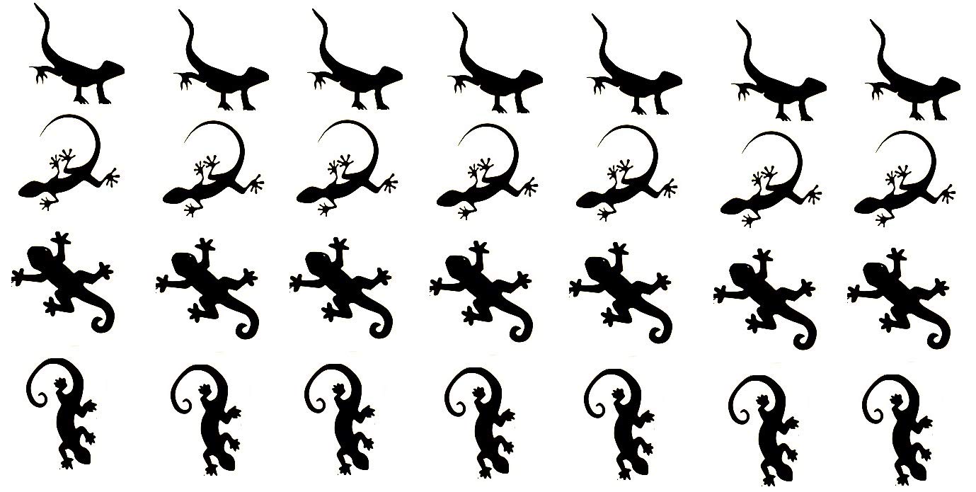 Lizard Collection (Lizard Vinyl Stickers (Black))