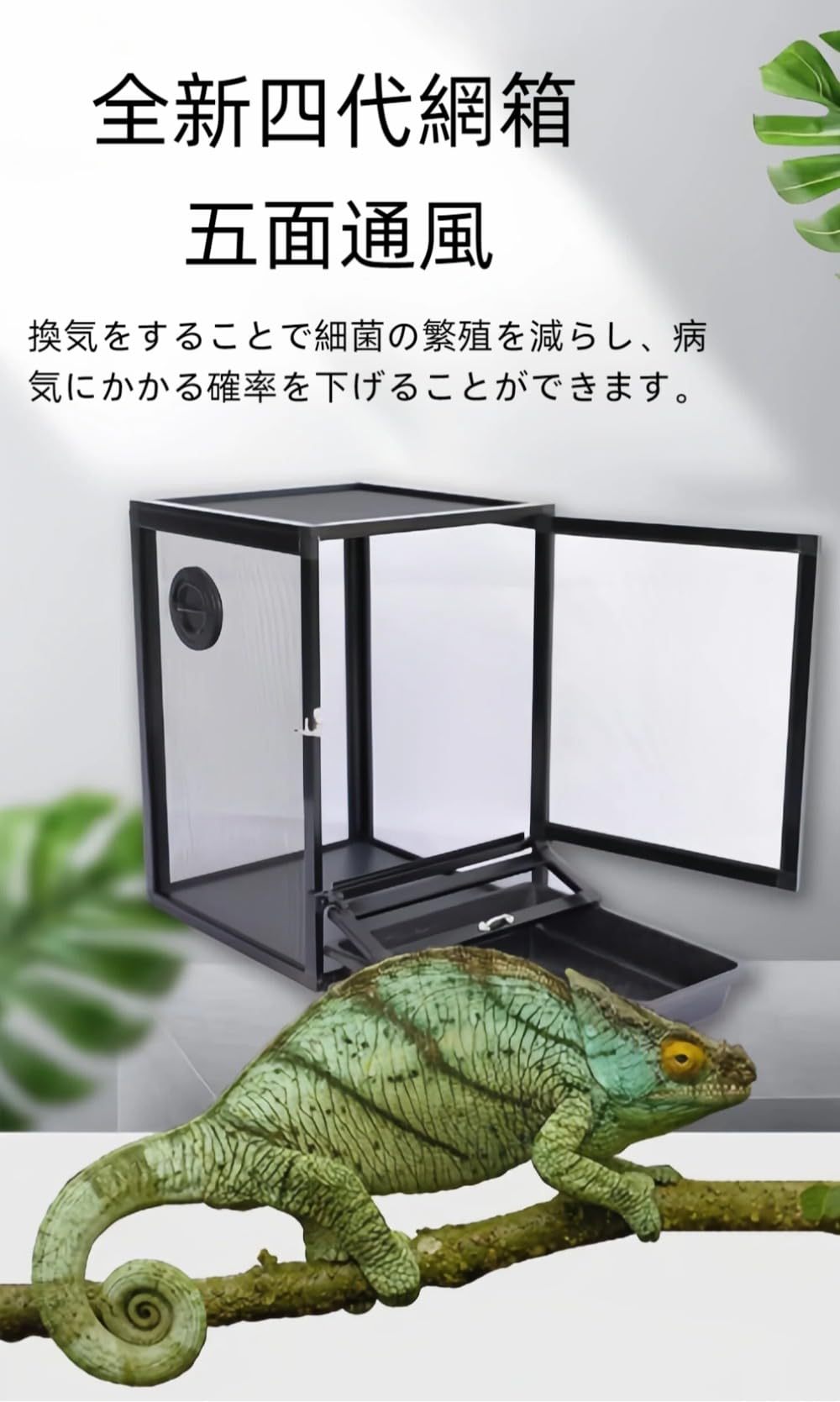 Amazon | レプタイルボックス 60cm カエル カメレオン 爬虫類 ケージ
