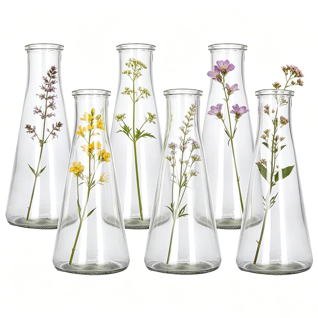 Small Flower Vase for Table: 6 Pcs Cone Glass for Decorative Table, Wedding Party,Home
